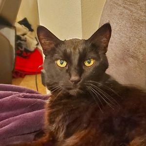 Meet your Posher, Alec